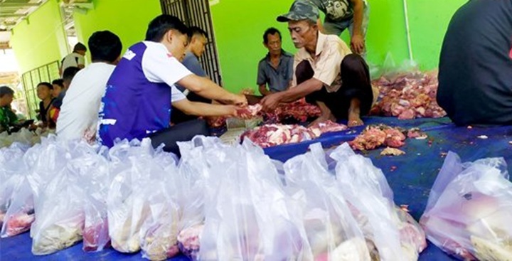 Sepuluh Ekor Sapi dan 1 Ekor Kambing dari Kemenag Kota Pariaman 1 Sapi