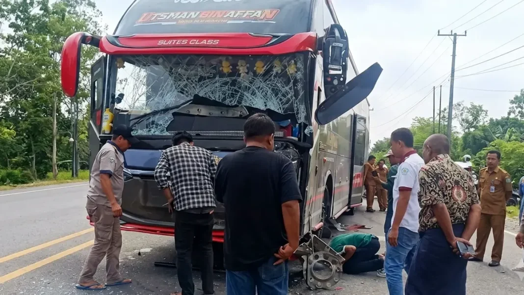 Kecelakaan di Tebo, Bus Alhijrah Tabrak Toyota Rush
