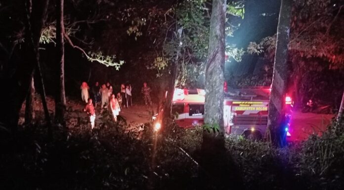 Lahan Seluas 3 Ha Terbakar Menjelang Magrib di Singkarak