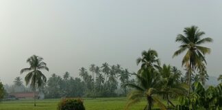 Kualitas di Solok Udara Menurun, Masyarakat Dihimbau Waspadai ISPA