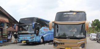Penerbangan Tertunda, Penumpang Bus AKAP Meningkat Drastis