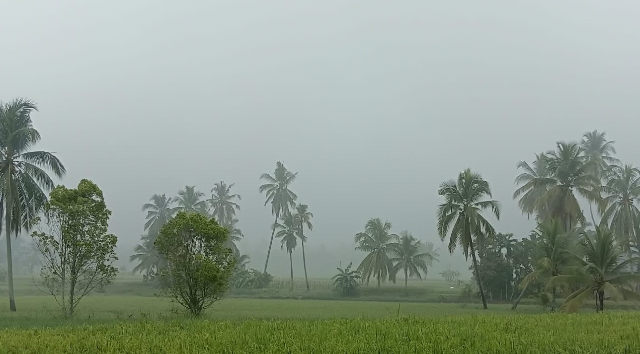 Kabut Tebal Selimuti Kota Solok Pagi ini 2 02101 kabut c