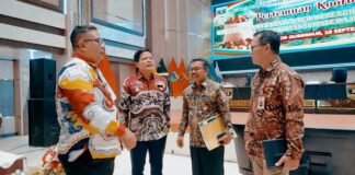 solok