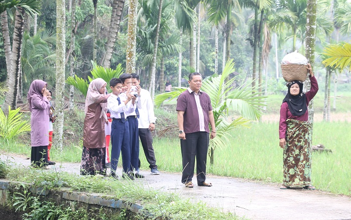 00603 proses film b